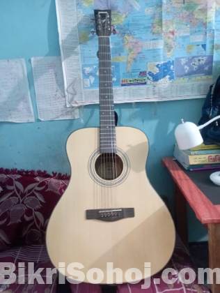 YAMAHA F600 Guiter